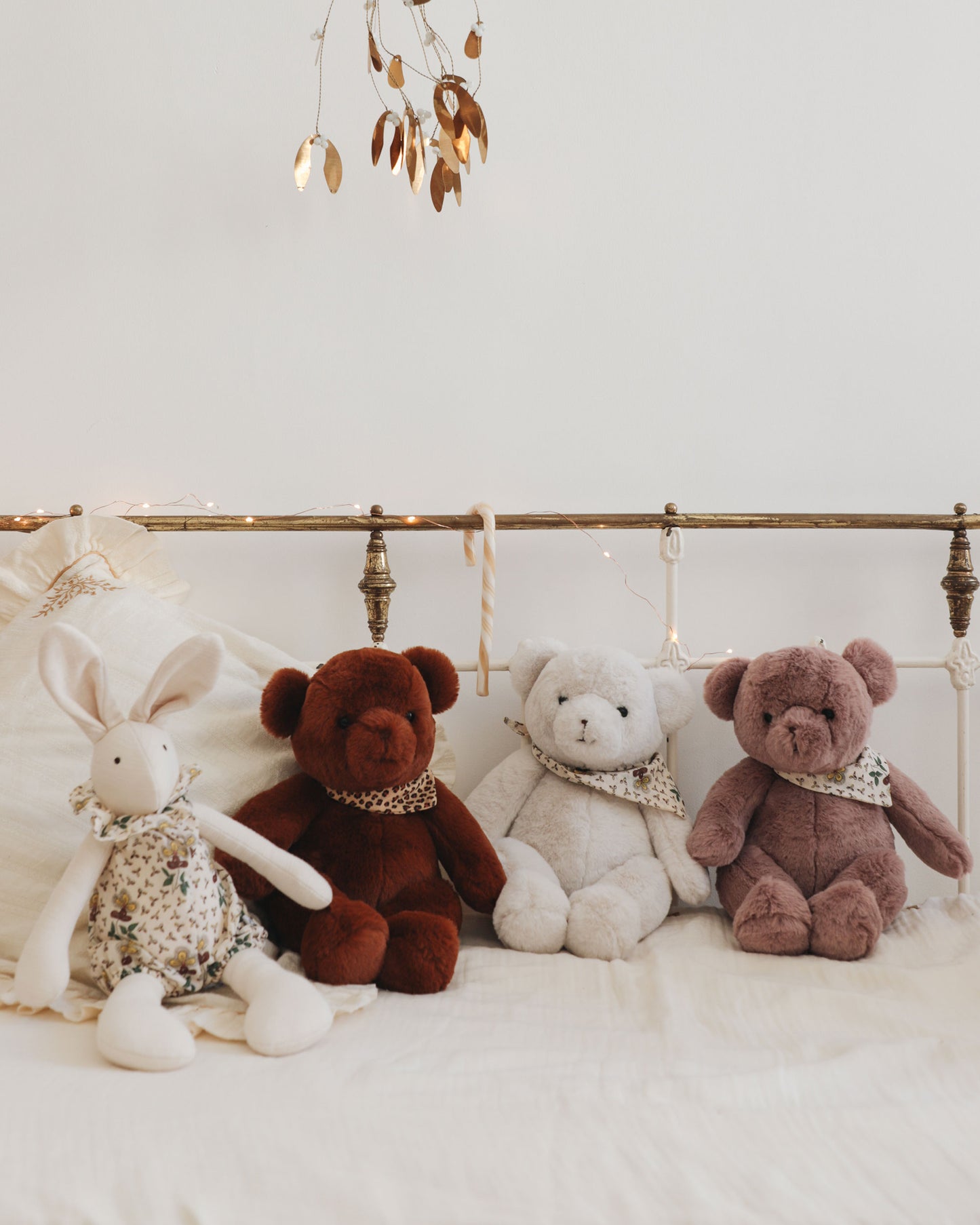 Lapine - Pamplemousse x Emile et Ida