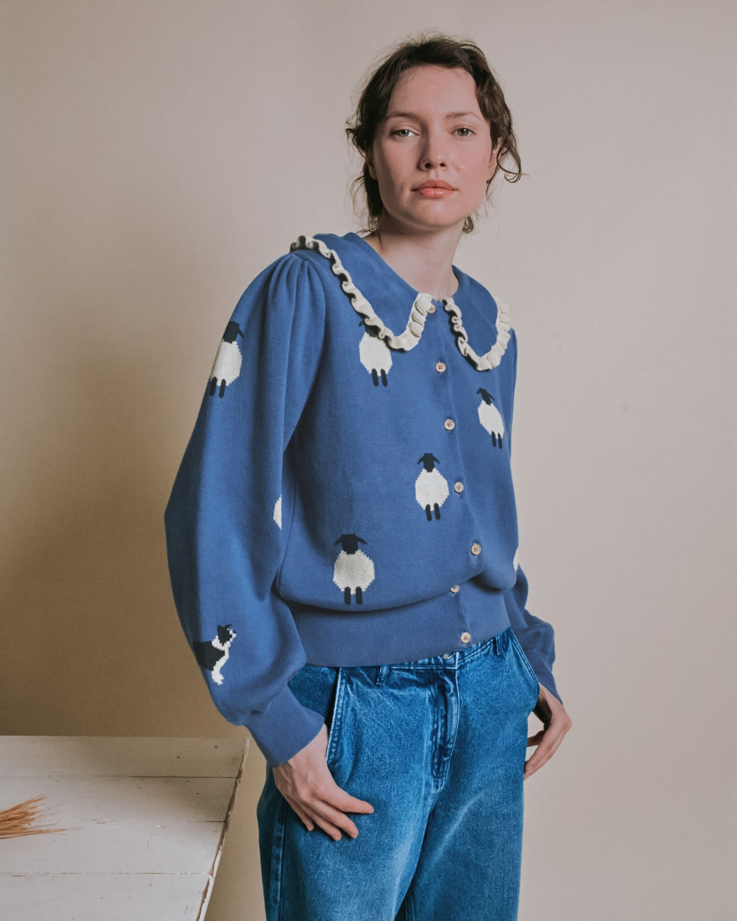 Cardigan - Jacquard mouton bleu