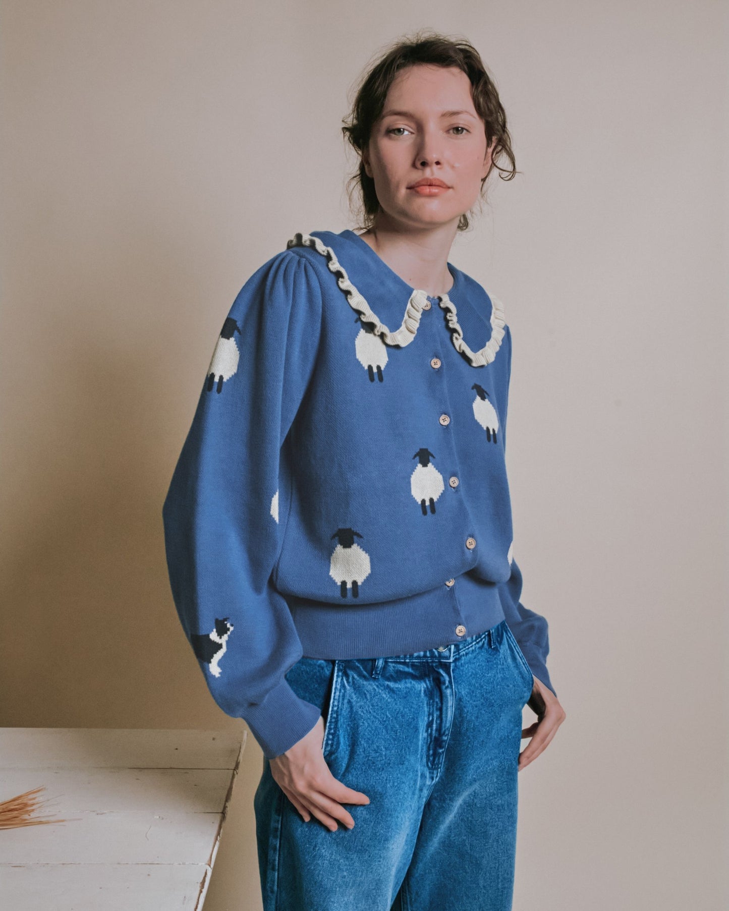 Cardigan - Jacquard mouton bleu