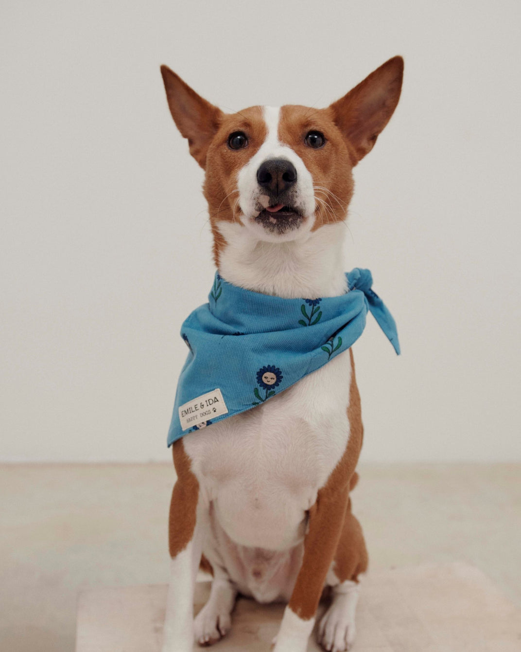 Bandana chien - Marguerite bleu