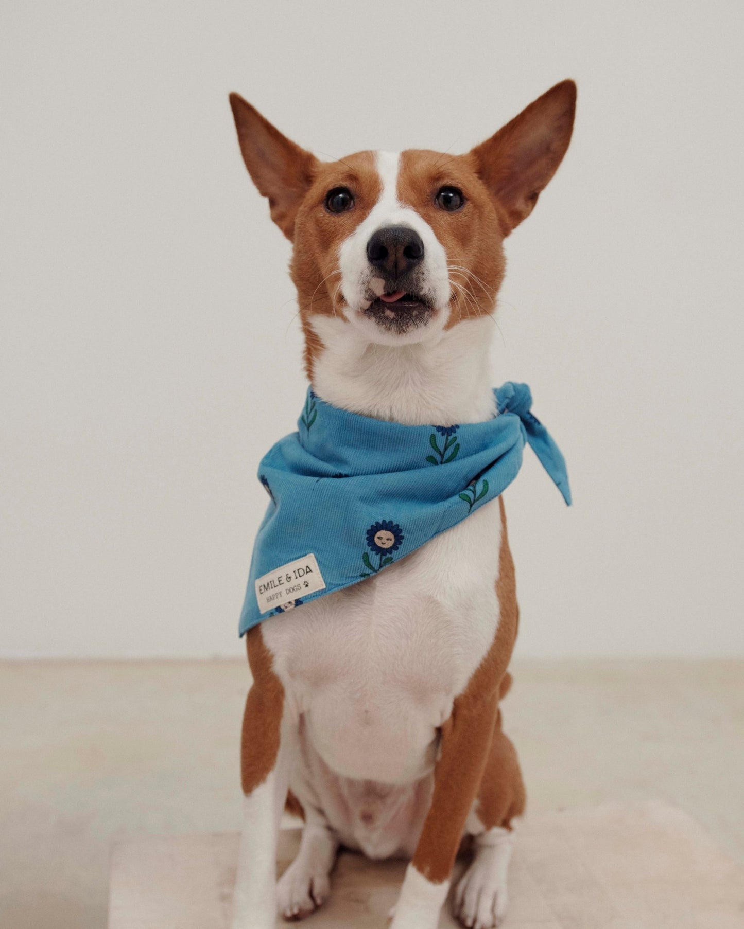 Margot dog bandana
