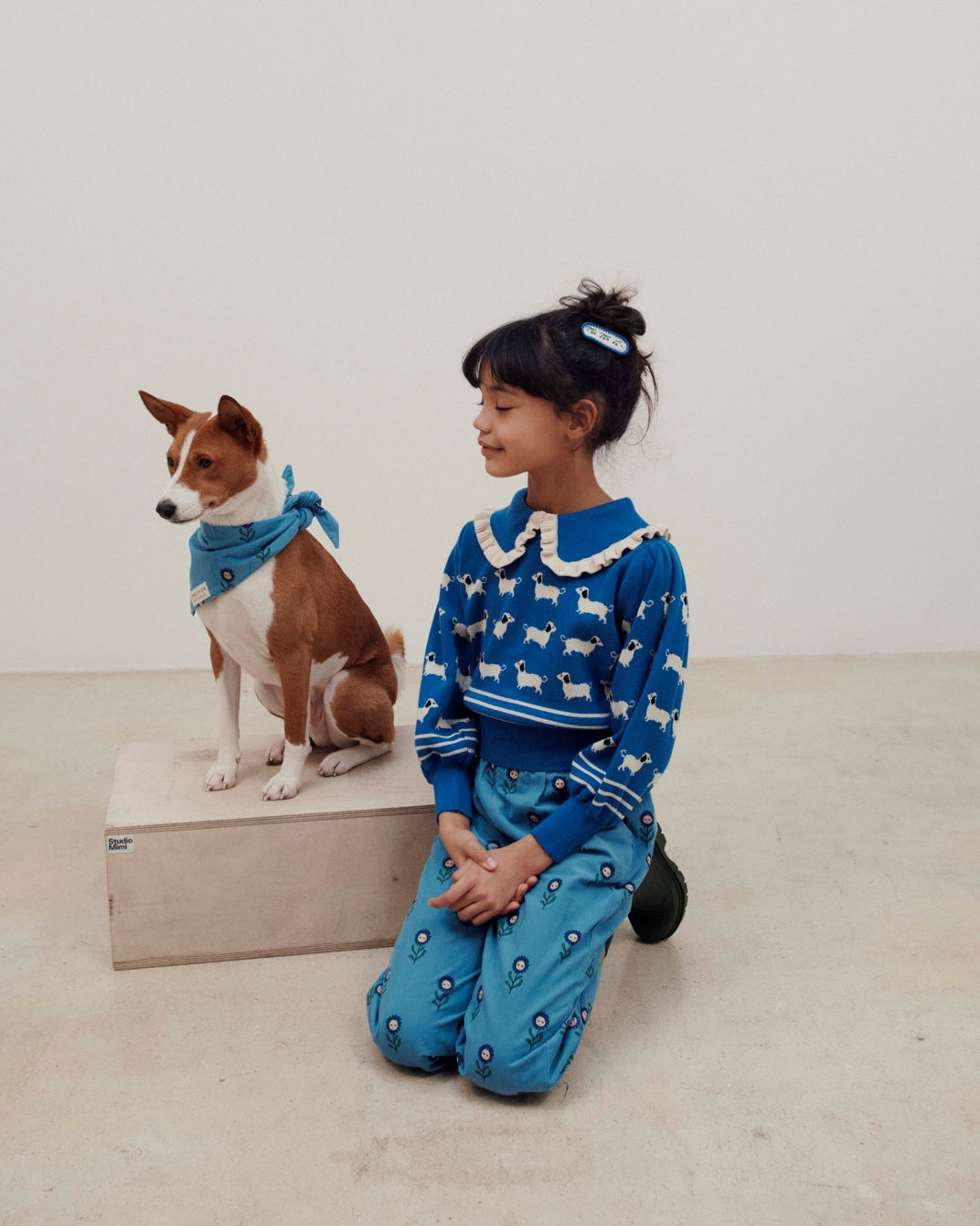 Bandana chien - Marguerite bleu