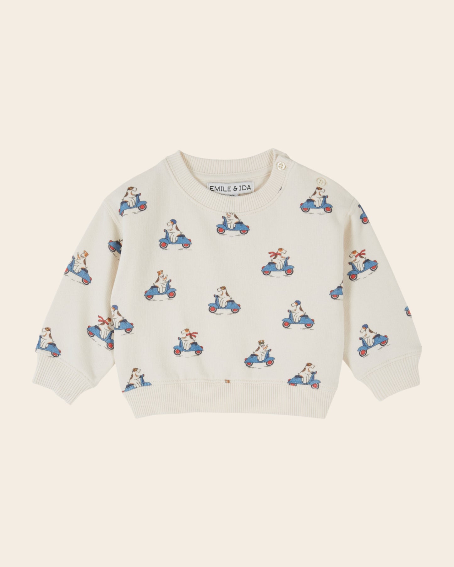 Sweat - Chien écru