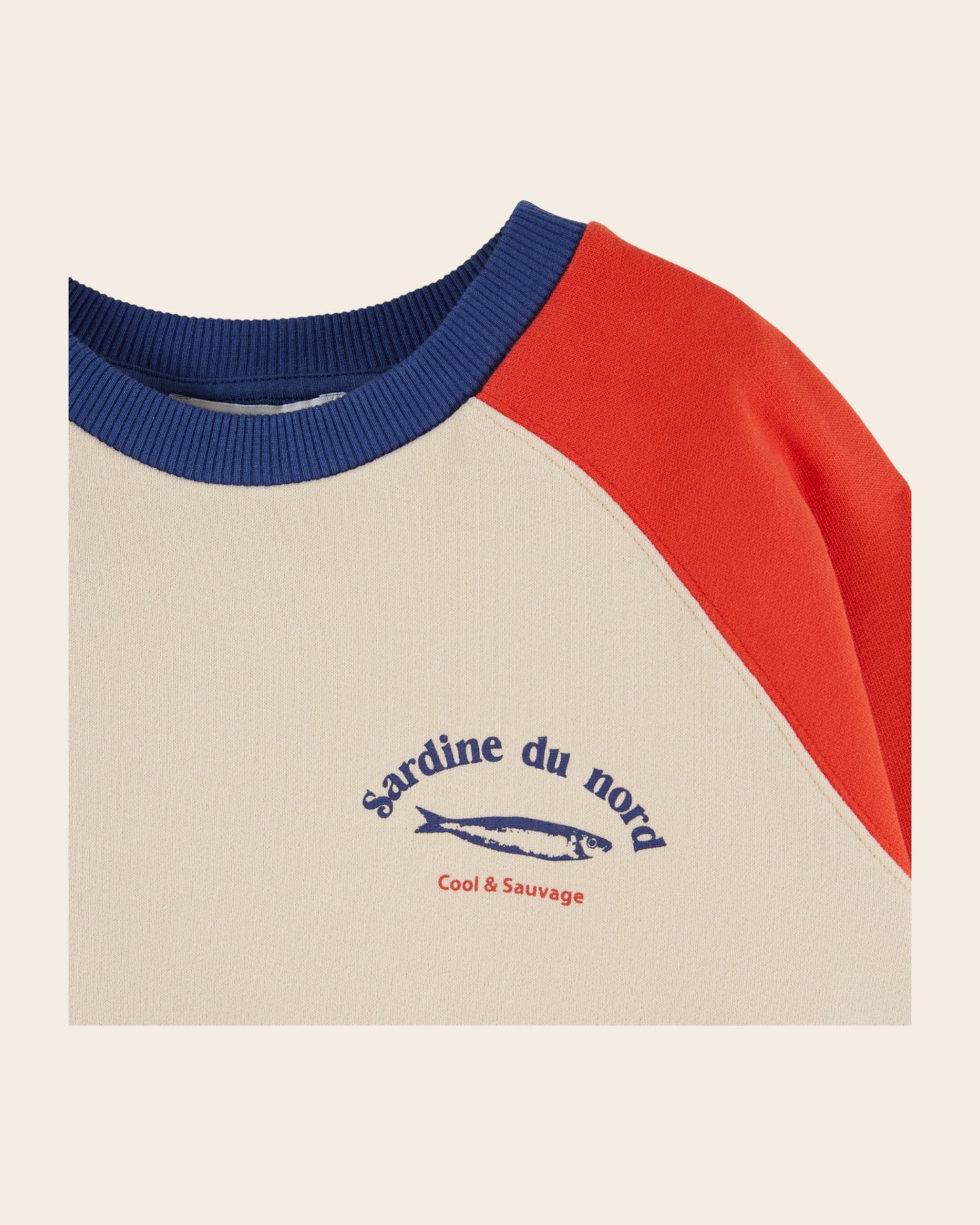 Sweat - Tricolore écru
