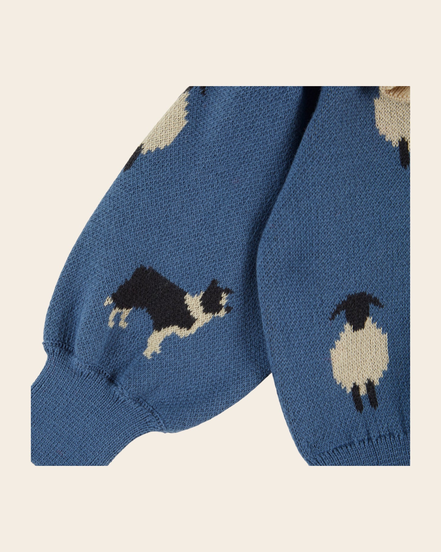 Cardigan - Mouton bleu