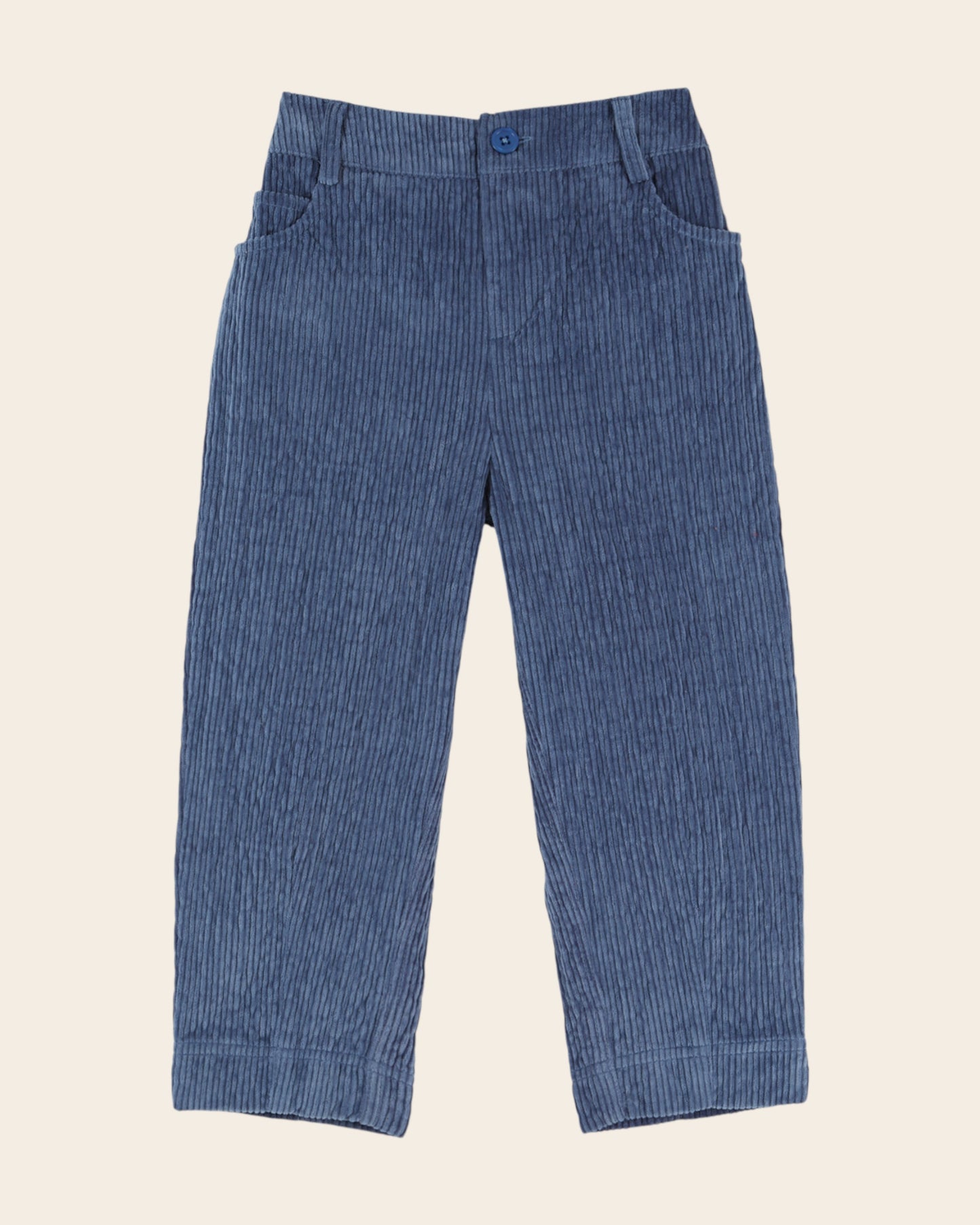 Pantalon - Velours bleu