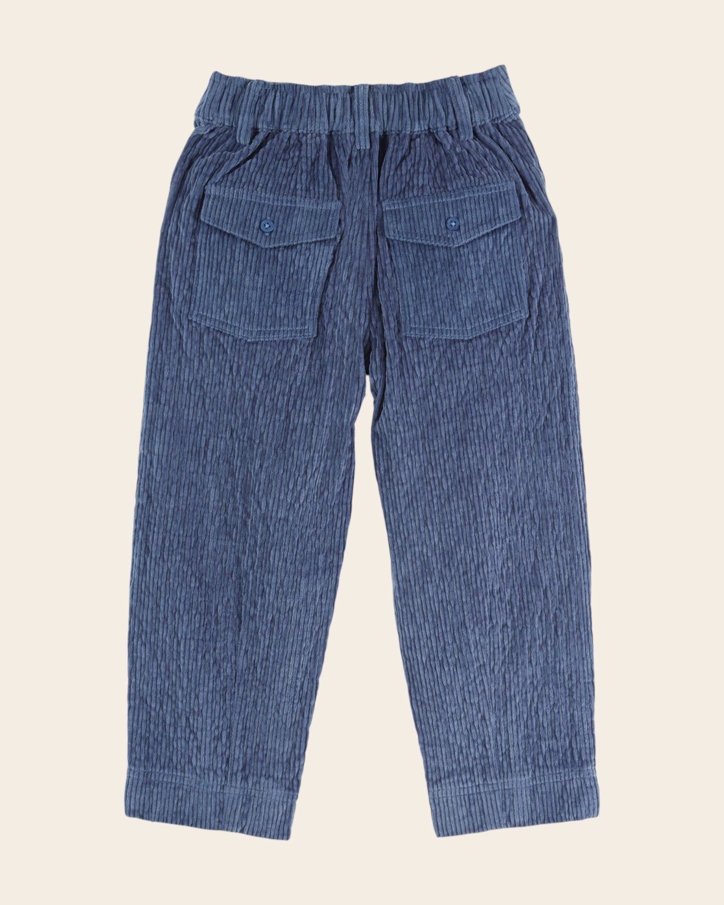 Pantalon - Velours bleu