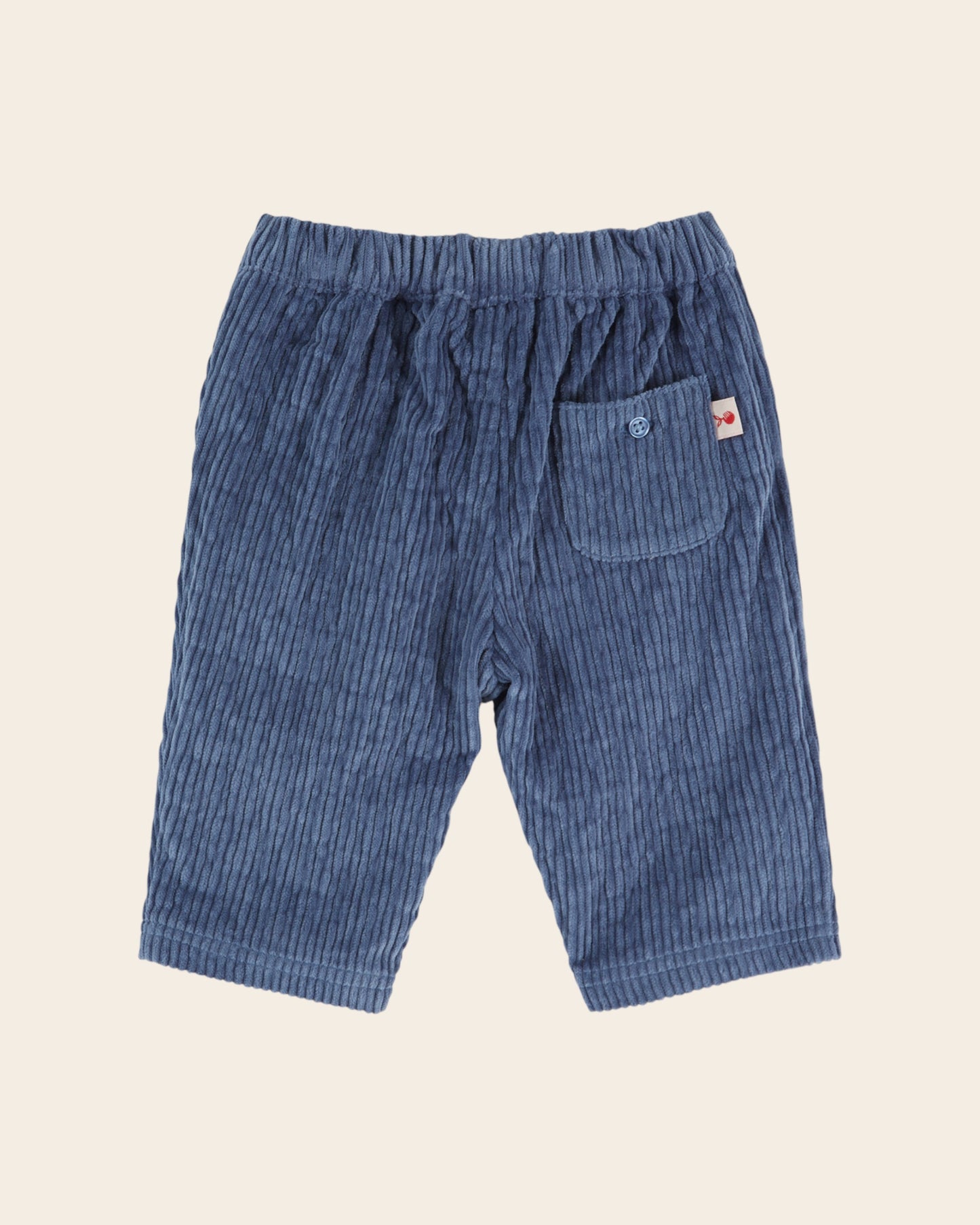 Pantalon bébé - Velours bleu